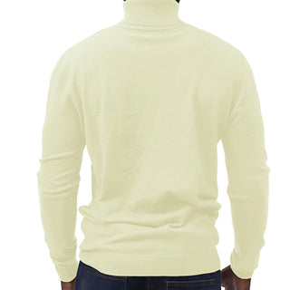 Ivory Traditional Fit Turtleneck Sweater