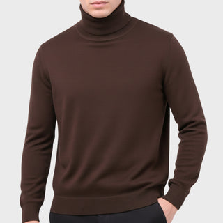 Brown Traditional Fit Turtleneck Sweater