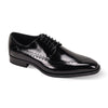 Triston Giovanni Lace Up Dress Shoes